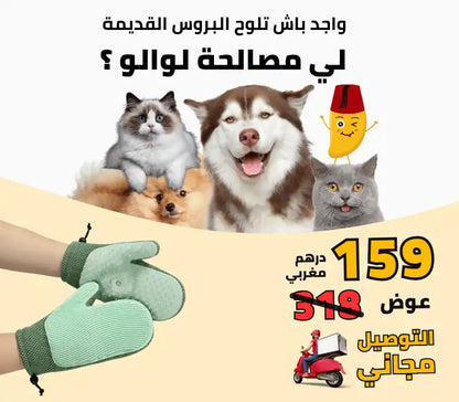 قفاز التنظيف بالبخار 3 في 1